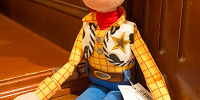 ウッディ・プライドはどんなおもちゃ？| キャステル | CASTEL ディズニー情報