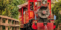 ウエスタンリバー鉄道の待ち時間ってどれくらい？| キャステル | CASTEL ディズニー情報