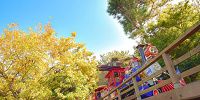 ウエスタンリバー鉄道はどっちに乗った方がいい？| キャステル | CASTEL ディズニー情報