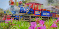 ウエスタンリバー鉄道の車両| キャステル | CASTEL ディズニー情報
