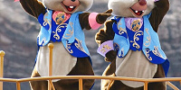 ディズニークイズ：チップとデール| キャステル | CASTEL ディズニー情報