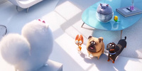 留守中にギジェット家に集まるペットたち／映画『ペット』| キャステル | CASTEL ディズニー情報