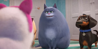 クロエ（中央）／映画『ペット2』| キャステル | CASTEL ディズニー情報
