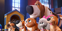 ポップスと子犬たち／映画『ペット2』| キャステル | CASTEL ディズニー情報