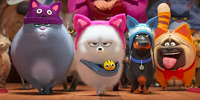 ギジェット（中央）／映画『ペット2』| キャステル | CASTEL ディズニー情報
