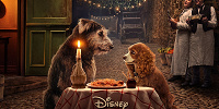 【ディズニープラス】実写版『わんわん物語』あらすじ＆見どころ紹介！オリジナルアニメとの違いも！