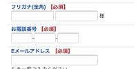名前・連絡先を入力し、同意する| キャステル | CASTEL ディズニー情報