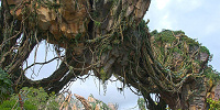 Valley of Mo'ara　設定：16㎜ SS1/30 F10 ISO100| キャステル | CASTEL ディズニー情報