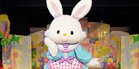 メルのお誕生日をみんなでお祝いしよう！| キャステル | CASTEL ディズニー情報