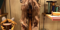 野獣ファンキャップ| キャステル | CASTEL ディズニー情報