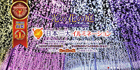 あしかがフラワーパークの実績| キャステル | CASTEL ディズニー情報