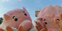 ファンキャップ| キャステル | CASTEL ディズニー情報