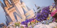 春のおすすめコーデ| キャステル | CASTEL ディズニー情報