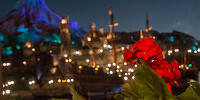 ディズニーシーの夜景を見ながらプロポーズ| キャステル | CASTEL ディズニー情報