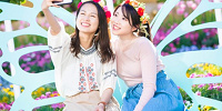 蝶の椅子| キャステル | CASTEL ディズニー情報