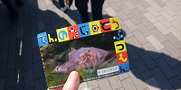 天王寺動物園の入園券| キャステル | CASTEL ディズニー情報