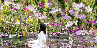 Floating Flower Garden: 花と我と同根、庭と我と一体| キャステル | CASTEL ディズニー情報