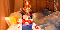 白雪姫ドレススマホクリーナー| キャステル | CASTEL ディズニー情報