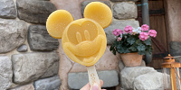 ミッキーアイスバー（トロピカルフルーツ）| キャステル | CASTEL ディズニー情報