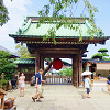 【鎌倉】観光におすすめの寺社8選！あじさいや桜も必見！特徴・見どころ・写真スポットなど
