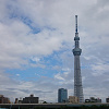 【はとバス東京観光おすすめ3選】半日コースも1日観光もOK！東京スカイツリー名所＆グルメ巡り旅まとめ！