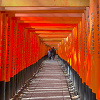 【京都】伏見稲荷大社の見どころガイド！千本鳥居やおもかる石などのパワースポットを解説