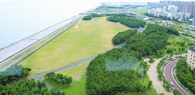 ディズニー 浦安市のふるさと納税がお得 ディズニー関連の返礼品まとめ