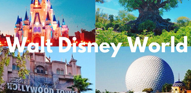 22年に行きたい海外ディズニー 50周年のwdwに行く前に知っ