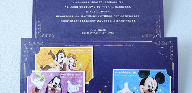 22 ディズニー貸切イベントに行ってきた チケット入手方法 体験談 貸切開催