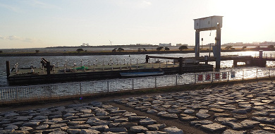 22 葛西臨海公園のバーベキュー情報 利用時間 予約方法 メニュー 持ち物 周辺情報まとめ