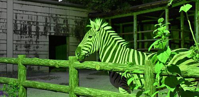 8月開催 東山動物園のナイトズーとは 夜の動物たちを堪能できる