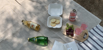 【代々木公園】ピクニックの楽しみ方ガイド！持ち物やおすすめテイクアウトまとめ！
