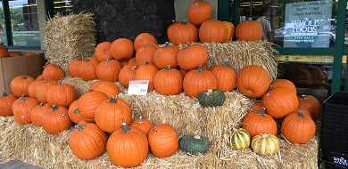 【ハワイ】10月の気温・天気・服装・イベントまとめ！格安で旅行できる&ハロウィン装飾も