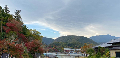 【京都】嵐山の名スポット渡月橋の魅力を紹介！歴史や見どころ、周辺観光スポットまとめ