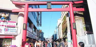 【鎌倉】小町通りで人気グルメを食べ歩き！抹茶アイスやコロッケなどおすすめのお店11選