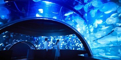 京都水族館の料金＆割引情報！お得に楽しむ方法は？引換不要の便利なコンビニチケットも発売中！