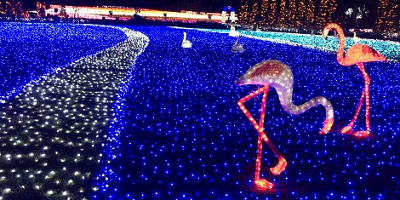 【2021‐2022】東武動物公園のイルミネーション！開催期間、チケット、人気クリエイターとコラボした見どころまとめ！