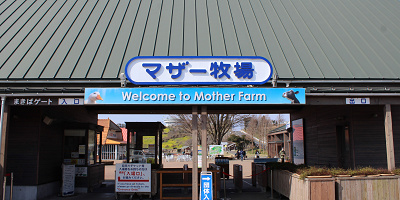 マザー牧場完全ガイド！動物とのふれあい、牧場グルメ、お土産、チケット、アクセス情報を総まとめ