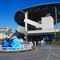 神戸須磨シーワールド完全ガイド｜シャチショーなどの見どころや持ち物、チケット、アクセス情報、営業時間を網羅