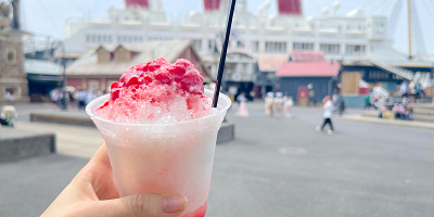 【検証】夏のディズニーは空いてる？2025年の夏vs冬春！待ち時間を比較してみた