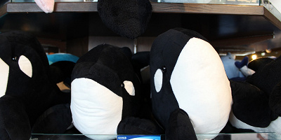 【鴨川シーワールド】人気＆おすすめのお土産情報まとめ！お菓子、ぬいぐるみ、文房具などを一挙紹介