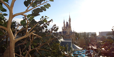 SNS映えする写真を！ディズニーランドのフォトスポット4選