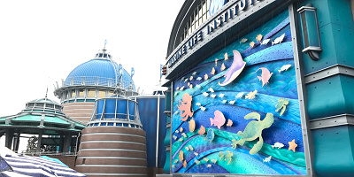 ニモ&フレンズシーライダーに乗った感想☆待ち時間やファストパスは？