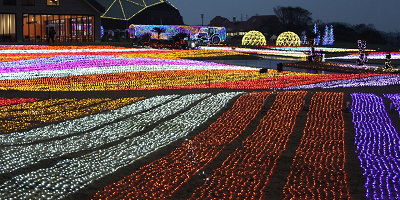 【2018-2019】マザー牧場イルミネーションに行ってきた！料金、時間、混雑状況も