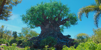 WDWのアニマルキングダムを攻略！おすすめアトラクション＆回り方