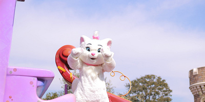 おしゃれキャット「マリーちゃん」！会える場所・兄弟の情報・グッズ！