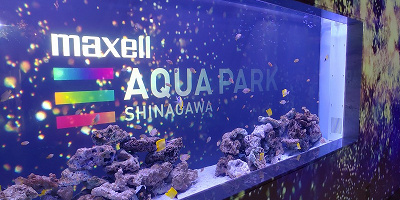 【2023】アクアパーク品川周辺のおすすめランチ9選！美味しい焼肉弁当から駅構内のスパゲティも！