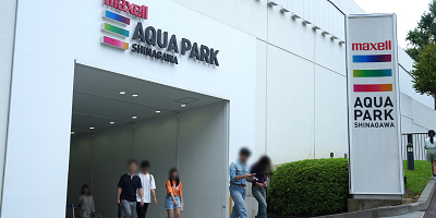 【アクアパーク品川】チケット料金はいくら？当日券、前売り券、年間パスポートを解説！