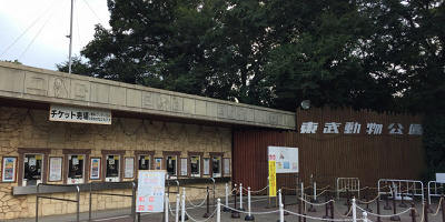 【2019年版】東武動物公園の営業時間を解説！季節で異なる閉園時間＆休園日に要注意
