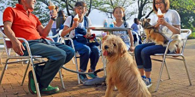 【マザー牧場】犬連れOK！ワンちゃんと一緒に使える施設＆楽しみ方まとめ！